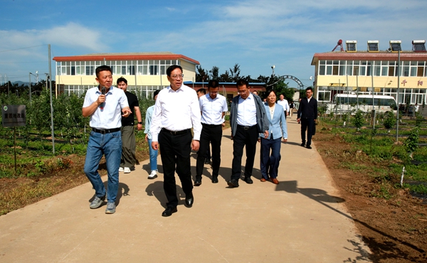 黄思光在我校千阳苹果试验示范站调研.jpg