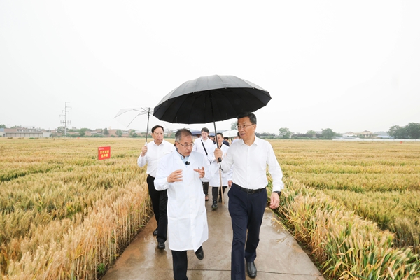 怀进鹏听取张正茂研究员在中亚育种工作情况介绍.jpg